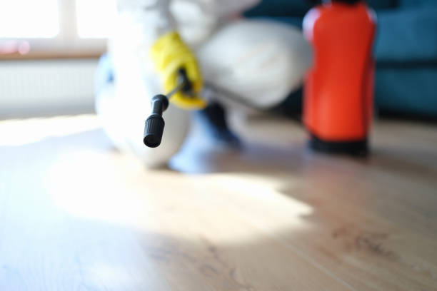 Best Water Damage & Mold Remediation  in Falls Creek, PA