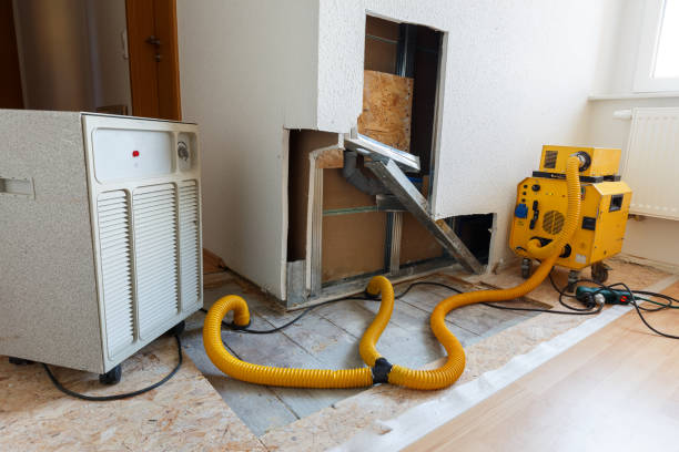 Falls Creek, PA Mold Removal Company