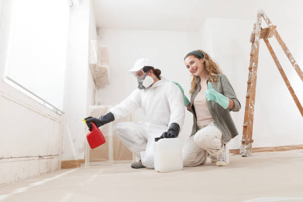 Best Airborne Mold Testing  in Falls Creek, PA